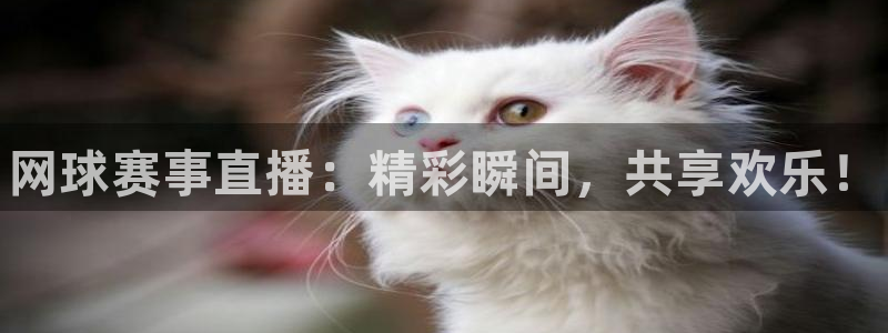 长征娱乐平台登录入口：网球赛事直播：精彩瞬间，共享欢乐！