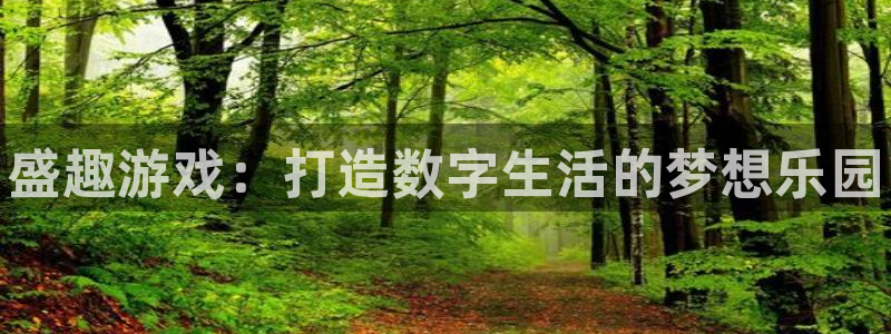 长征娱乐app：盛趣游戏：打造数字生活的梦想乐园