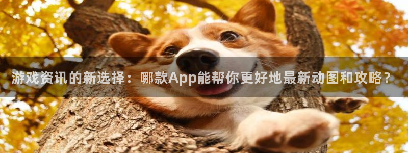 长征娱乐app下载|下载地址：游戏资讯的新选择：哪款App能