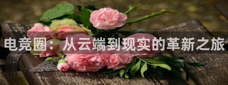 长征娱乐4招商：电竞圈：从云端到现实的革新之旅