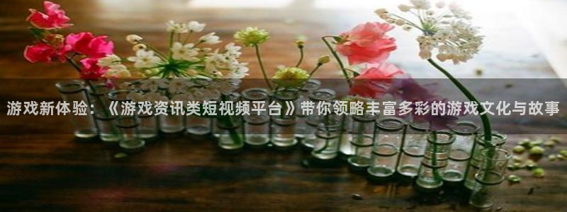 长征娱乐平台注册开户：游戏新体验：《游戏资讯类短视频平台》带