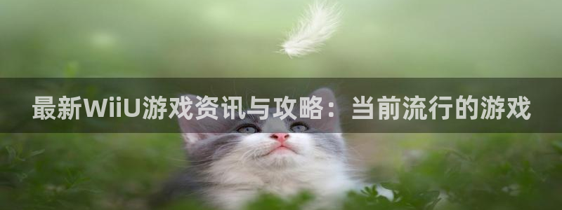 长征娱乐平台官方网站：最新WiiU游戏资讯与攻略：当前流行的