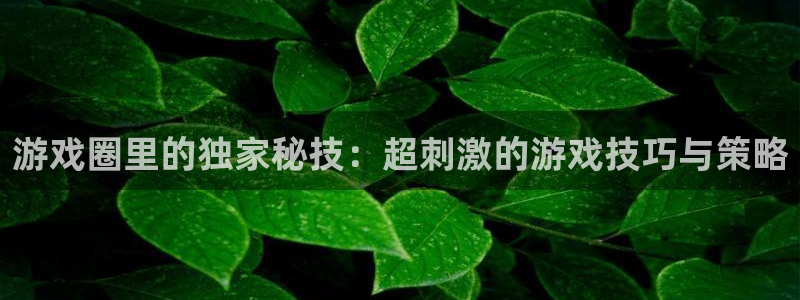 长征娱乐注册登录平台：游戏圈里的独家秘技：超刺激的游戏技巧与