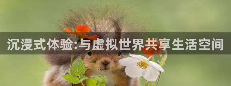 搜球吧体育直播：沉浸式体验:与虚拟世界共享生活空间