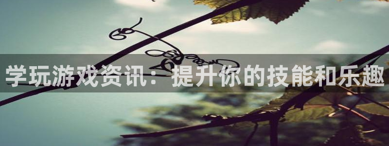 长征娱乐张波个人简历