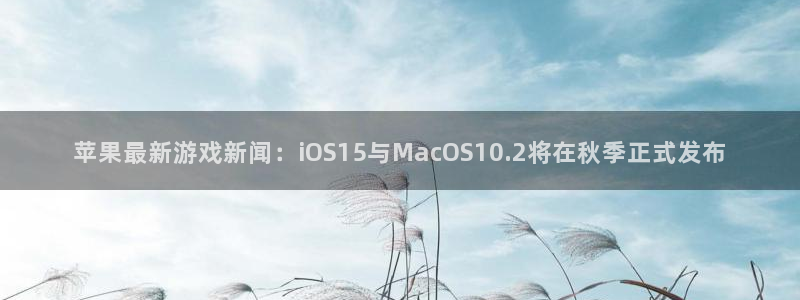 长征娱乐最新版本更新内容是什么