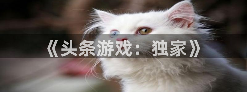 长征娱乐佳.3.3.4.8.2官方活动分享