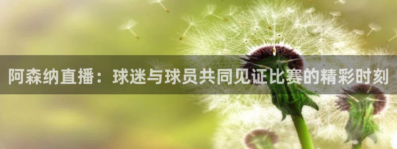 搜球吧8直播